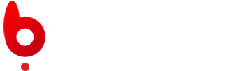 برندی 24